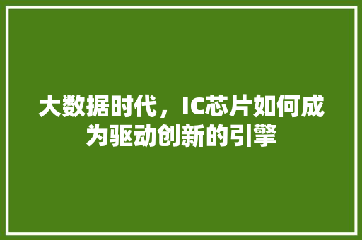 大数据时代，IC芯片如何成为驱动创新的引擎