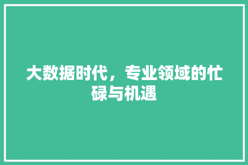 大数据时代，专业领域的忙碌与机遇