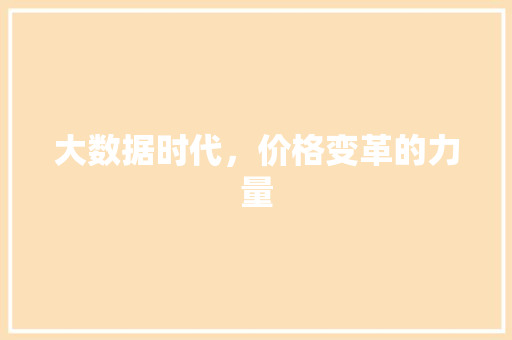 大数据时代，价格变革的力量