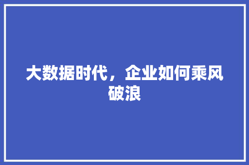 大数据时代，企业如何乘风破浪
