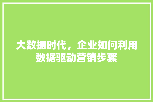 大数据时代，企业如何利用数据驱动营销步骤
