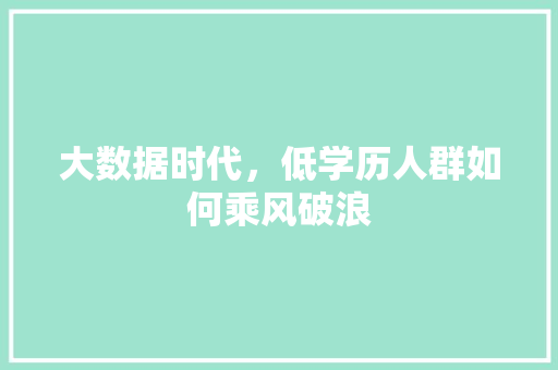 大数据时代，低学历人群如何乘风破浪