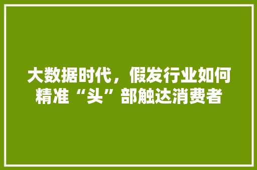 大数据时代,假发行业如何精准“头”部触达消费者 大数据时代,假发行业如何精准“头”部触达消费者