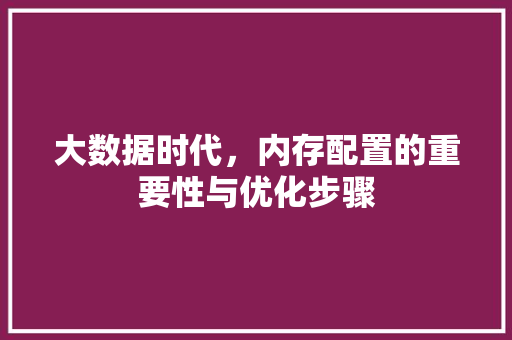 大数据时代,内存配置的重要性与优化步骤 大数据时代,内存配置的重要性与优化步骤
