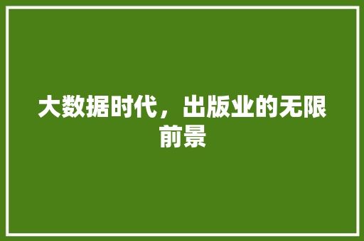 大数据时代,出版业的无限前景 大数据时代,出版业的无限前景