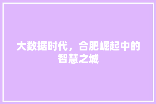 大数据时代，合肥崛起中的智慧之城