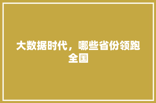 大数据时代，哪些省份领跑全国
