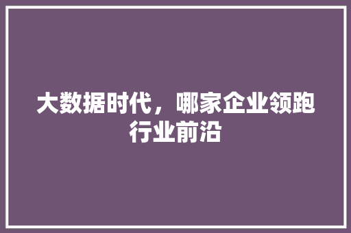 大数据时代，哪家企业领跑行业前沿