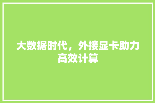 大数据时代，外接显卡助力高效计算
