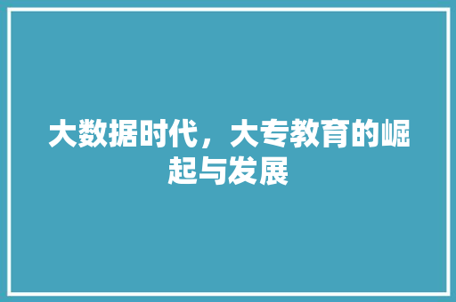 大数据时代，大专教育的崛起与发展