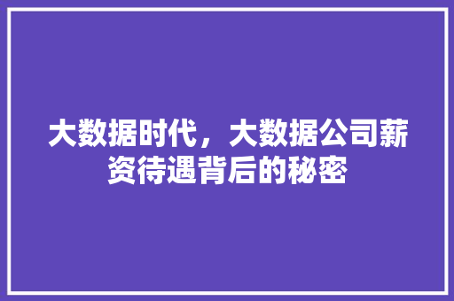 大数据时代，大数据公司薪资待遇背后的秘密