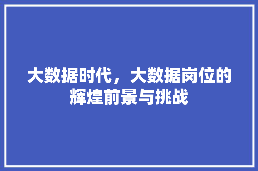 大数据时代，大数据岗位的辉煌前景与挑战