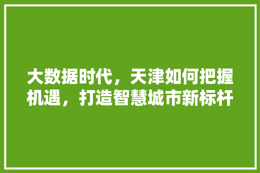 大数据时代，天津如何把握机遇，打造智慧城市新标杆