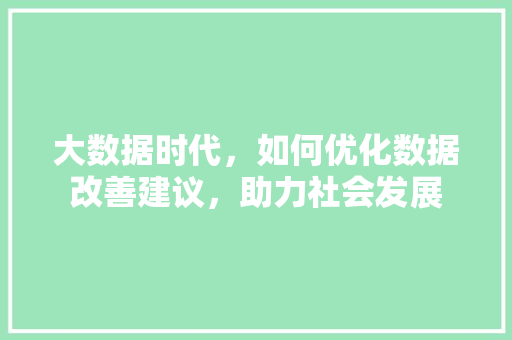 大数据时代，如何优化数据改善建议，助力社会发展