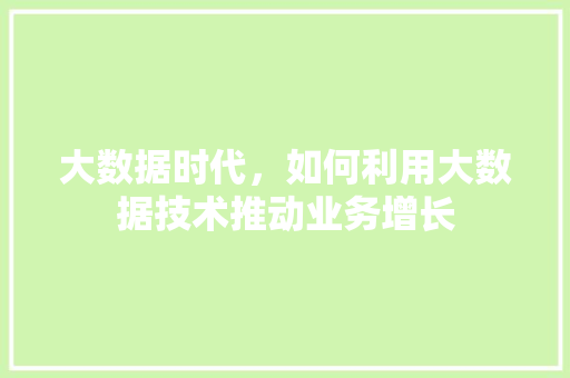 大数据时代，如何利用大数据技术推动业务增长