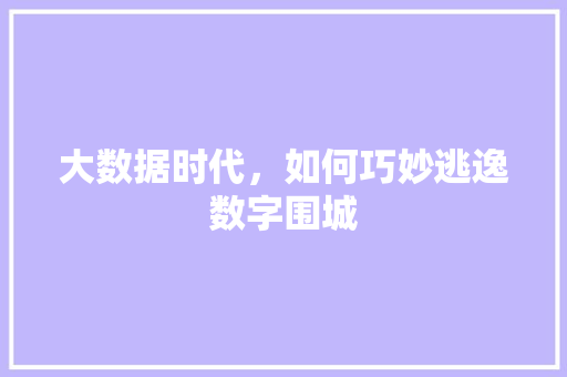 大数据时代,如何巧妙逃逸数字围城 大数据时代,如何巧妙逃逸数字围城
