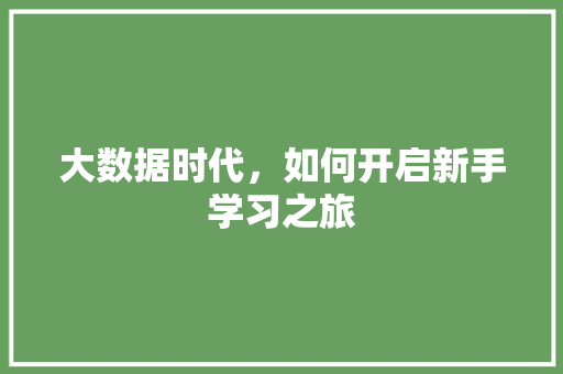 大数据时代，如何开启新手学习之旅
