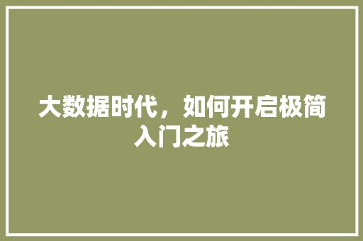 大数据时代，如何开启极简入门之旅