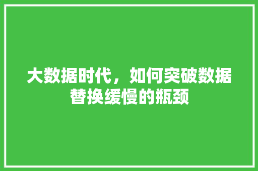 大数据时代,如何突破数据替换缓慢的瓶颈 大数据时代,如何突破数据替换缓慢的瓶颈
