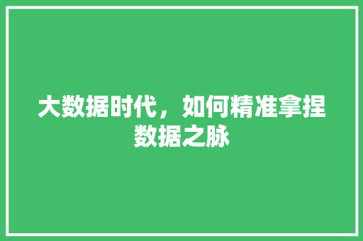 大数据时代,如何精准拿捏数据之脉 大数据时代,如何精准拿捏数据之脉