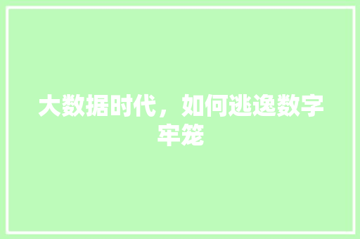 大数据时代，如何逃逸数字牢笼
