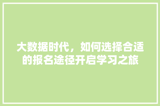 大数据时代，如何选择合适的报名途径开启学习之旅