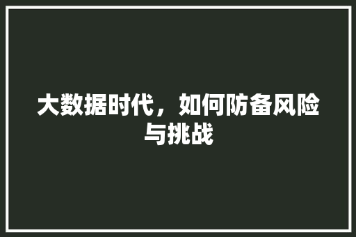 大数据时代，如何防备风险与挑战