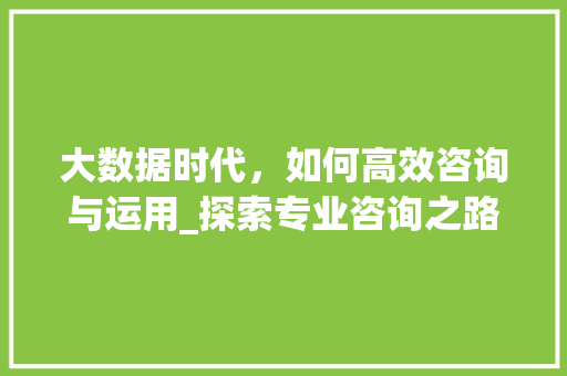 大数据时代，如何高效咨询与运用_探索专业咨询之路