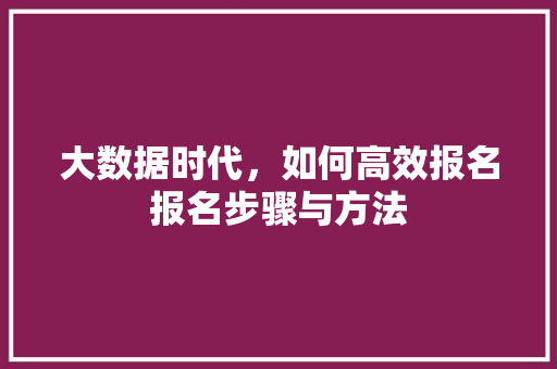 大数据时代，如何高效报名报名步骤与方法