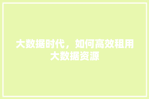 大数据时代，如何高效租用大数据资源
