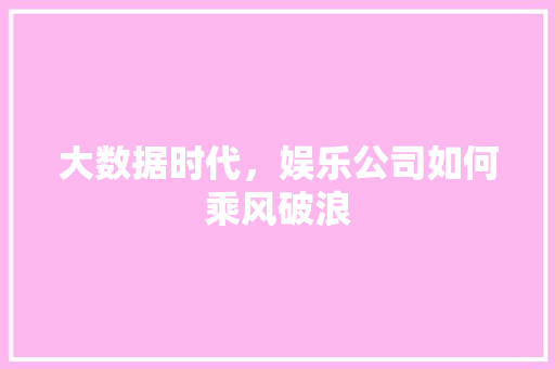 大数据时代，娱乐公司如何乘风破浪