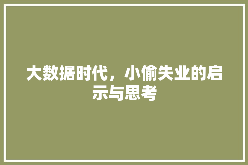 大数据时代，小偷失业的启示与思考