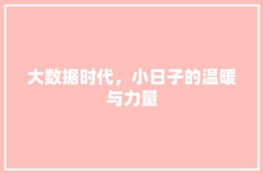 大数据时代，小日子的温暖与力量