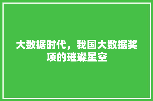 大数据时代,我国大数据奖项的璀璨星空 大数据时代,我国大数据奖项的璀璨星空