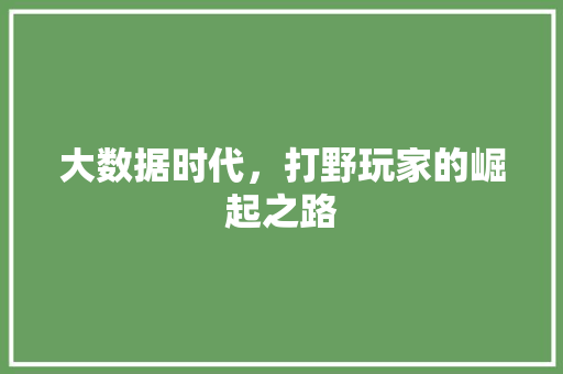 大数据时代,打野玩家的崛起之路 编程语言 大数据时代,打野玩家的崛起之路 编程语言