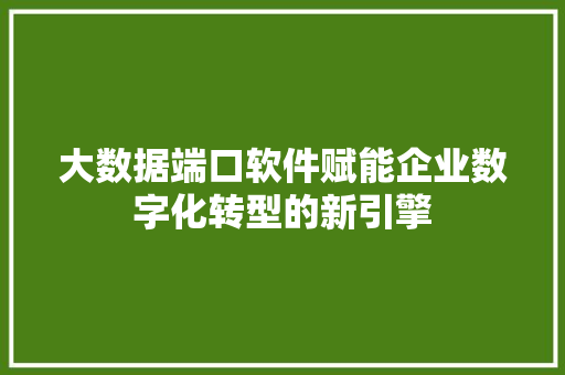 大数据端口软件赋能企业数字化转型的新引擎
