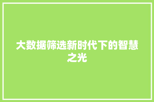 大数据筛选新时代下的智慧之光