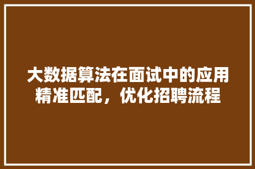 大数据算法在面试中的应用精准匹配，优化招聘流程