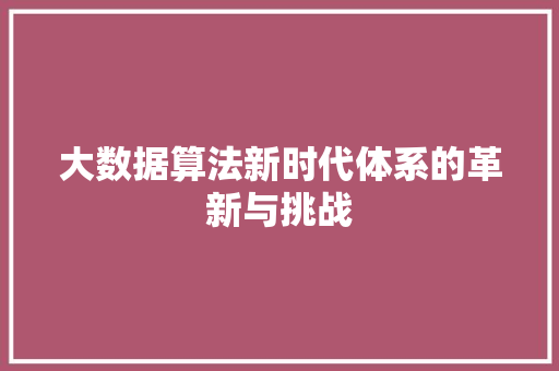 大数据算法新时代体系的革新与挑战