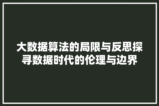 大数据算法的局限与反思探寻数据时代的伦理与边界