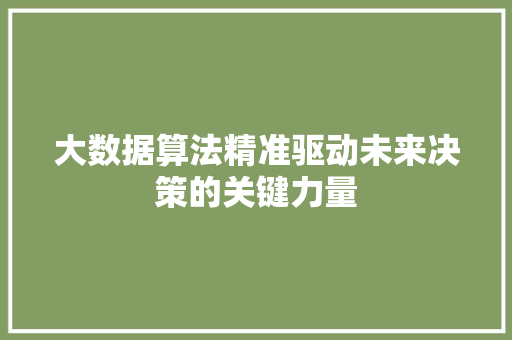 大数据算法精准驱动未来决策的关键力量
