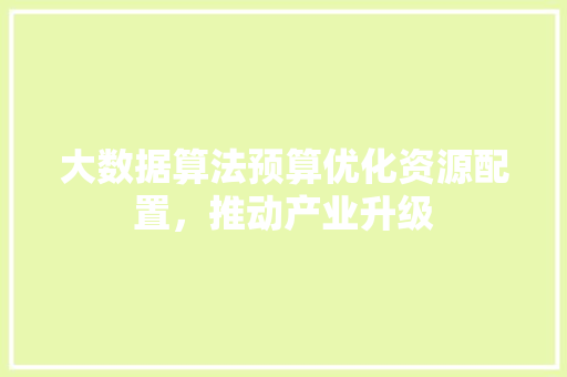 大数据算法预算优化资源配置，推动产业升级 操作系统