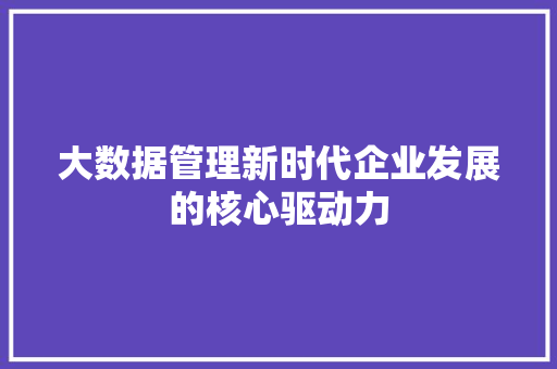 大数据管理新时代企业发展的核心驱动力