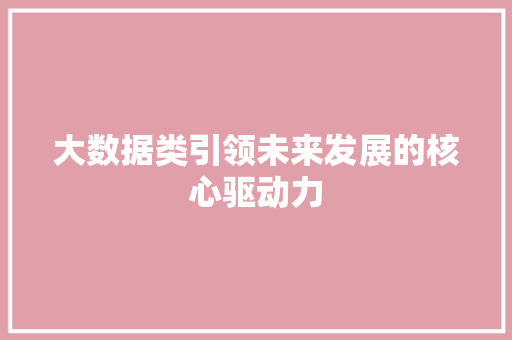 大数据类引领未来发展的核心驱动力