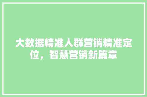 大数据精准人群营销精准定位，智慧营销新篇章