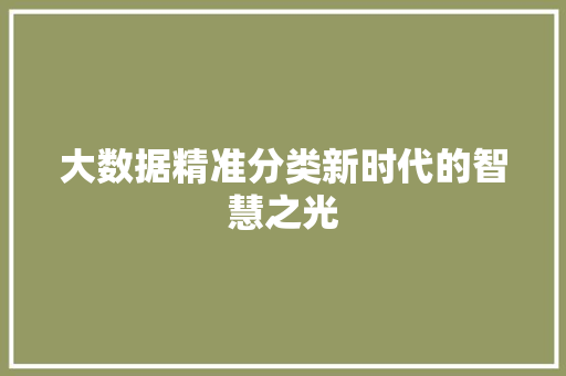 大数据精准分类新时代的智慧之光