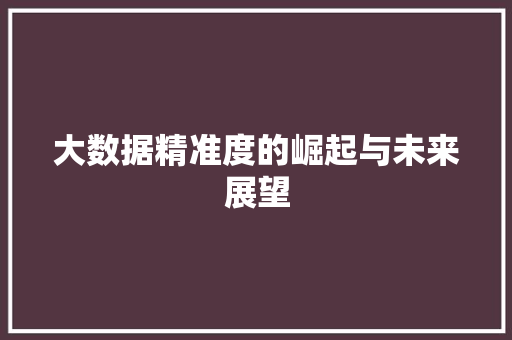 大数据精准度的崛起与未来展望
