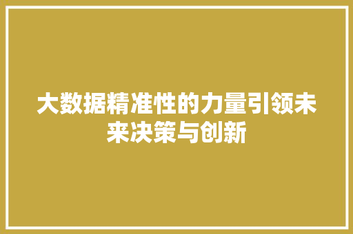 大数据精准性的力量引领未来决策与创新