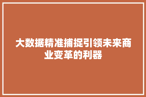 大数据精准捕捉引领未来商业变革的利器