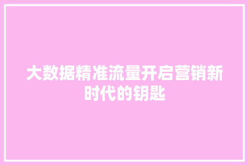 大数据精准流量开启营销新时代的钥匙